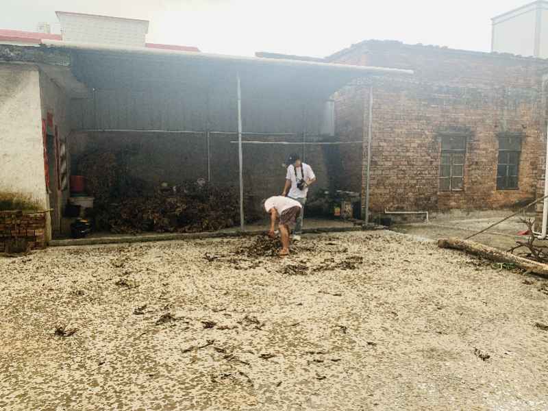 17岁被逼婚少女中考记:以床为桌复习,不想浪费爷爷交的报名费